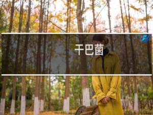 干巴菌（楚雄市特产）