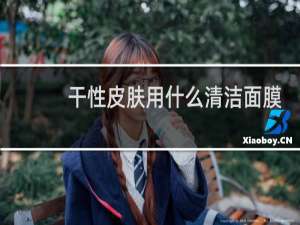 干性皮肤用什么清洁面膜