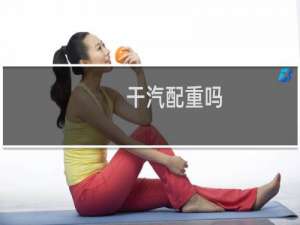 干汽配重吗