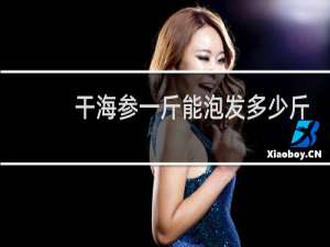 干海参一斤能泡发多少斤