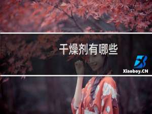 干燥剂有哪些