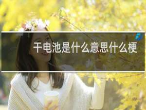 干电池是什么意思什么梗