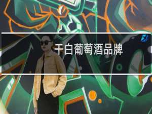 干白葡萄酒品牌