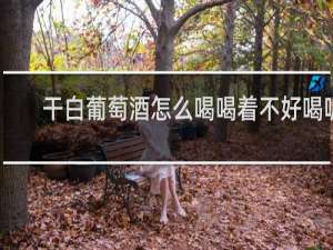 干白葡萄酒怎么喝喝着不好喝呢