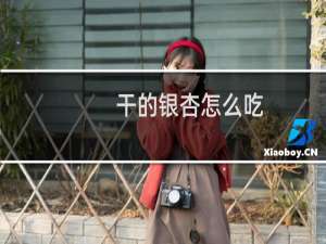 干的银杏怎么吃