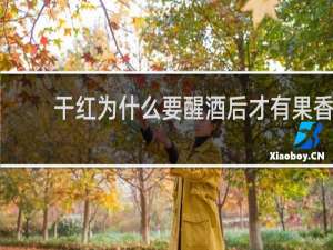 干红为什么要醒酒后才有果香