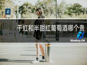 干红和半甜红葡萄酒哪个贵