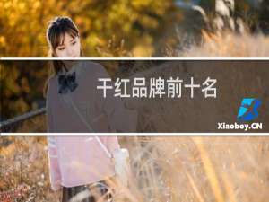干红品牌前十名