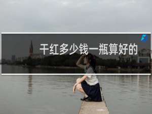 干红多少钱一瓶算好的