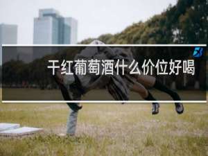 干红葡萄酒什么价位好喝