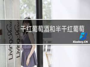 干红葡萄酒和半干红葡萄酒有什么区别