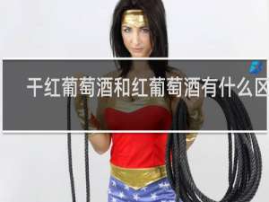 干红葡萄酒和红葡萄酒有什么区别