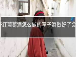 干红葡萄酒怎么做的李子酒做好了会不会酸