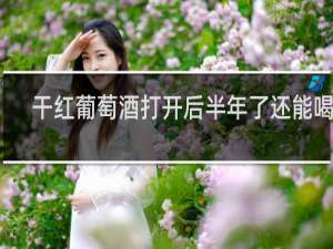 干红葡萄酒打开后半年了还能喝吗