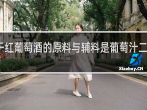 干红葡萄酒的原料与辅料是葡萄汁二氧化硫