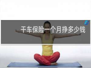 干车保险一个月挣多少钱