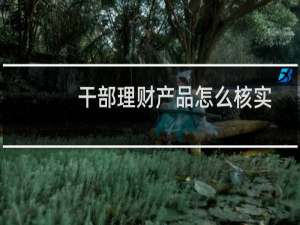 干部理财产品怎么核实