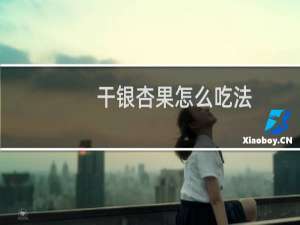 干银杏果怎么吃法