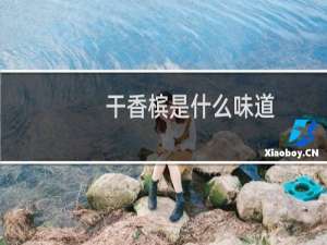 干香槟是什么味道