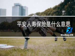 平安人寿保险是什么意思