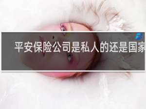 平安保险公司是私人的还是国家的