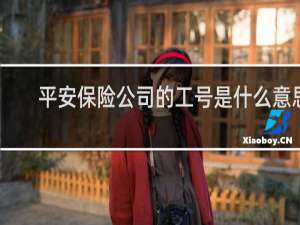 平安保险公司的工号是什么意思