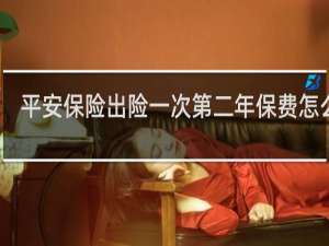 平安保险出险一次第二年保费怎么算