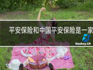 平安保险和中国平安保险是一家吗