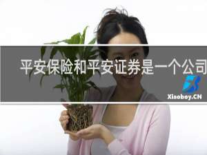 平安保险和平安证券是一个公司吗