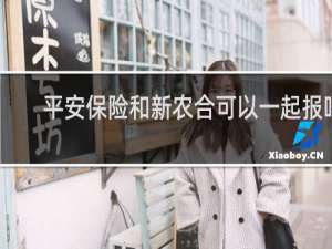 平安保险和新农合可以一起报吗