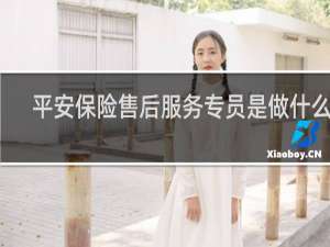 平安保险售后服务专员是做什么的
