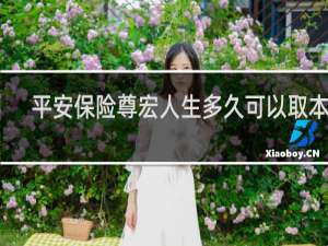 平安保险尊宏人生多久可以取本金