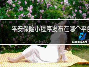 平安保险小程序发布在哪个平台