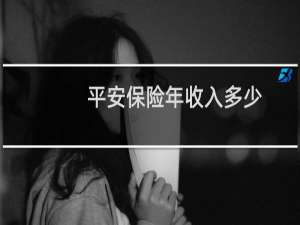 平安保险年收入多少