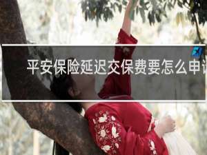 平安保险延迟交保费要怎么申请