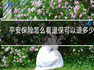 平安保险怎么看退保可以退多少钱