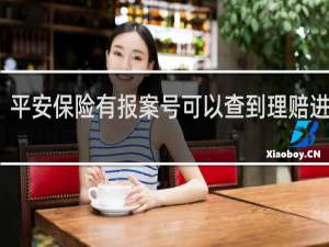 平安保险有报案号可以查到理赔进展吗