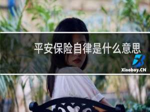 平安保险自律是什么意思
