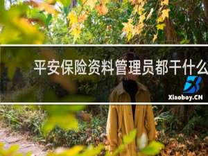 平安保险资料管理员都干什么