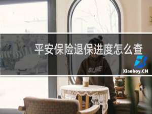 平安保险退保进度怎么查
