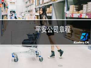 平安公司章程