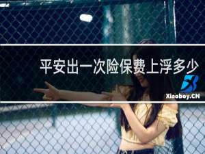 平安出一次险保费上浮多少
