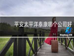 平安太平洋泰康哪个公司好