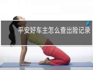 平安好车主怎么查出险记录