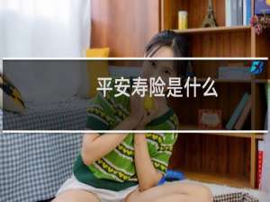 平安寿险是什么