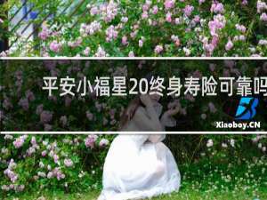 平安小福星20终身寿险可靠吗