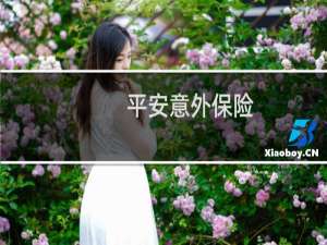 平安意外保险