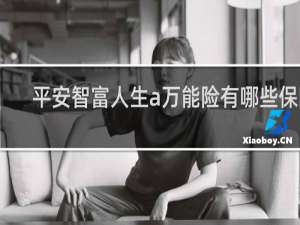 平安智富人生a万能险有哪些保障