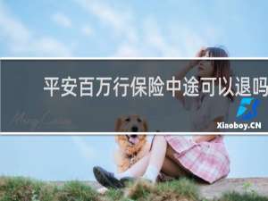 平安百万行保险中途可以退吗
