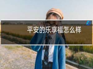 平安的乐享福怎么样